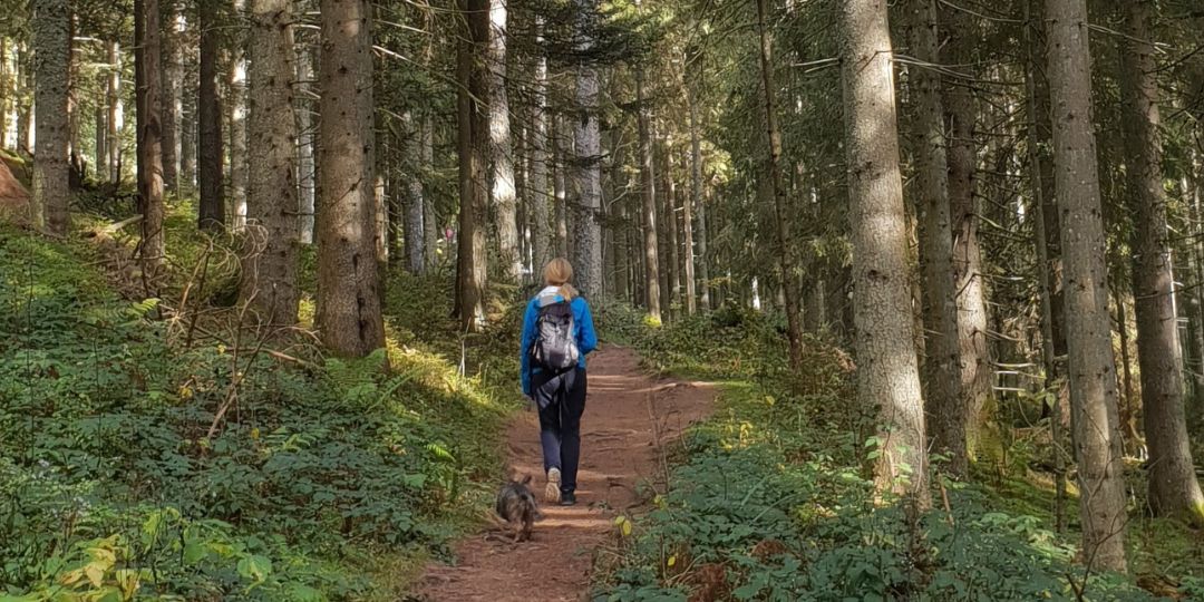 Fastenwandern im Schwarzwald